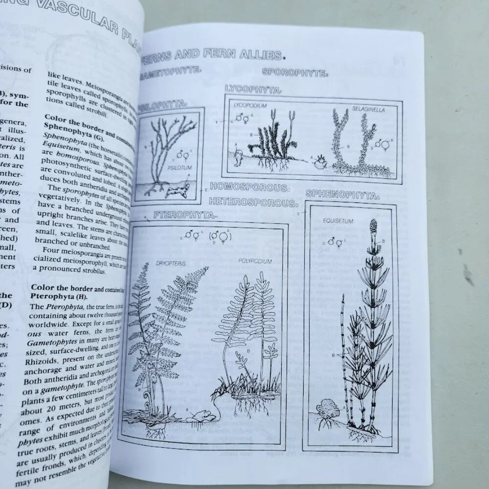 NEW Botany Coloring Book Adult High School Paperback High School Science Activit